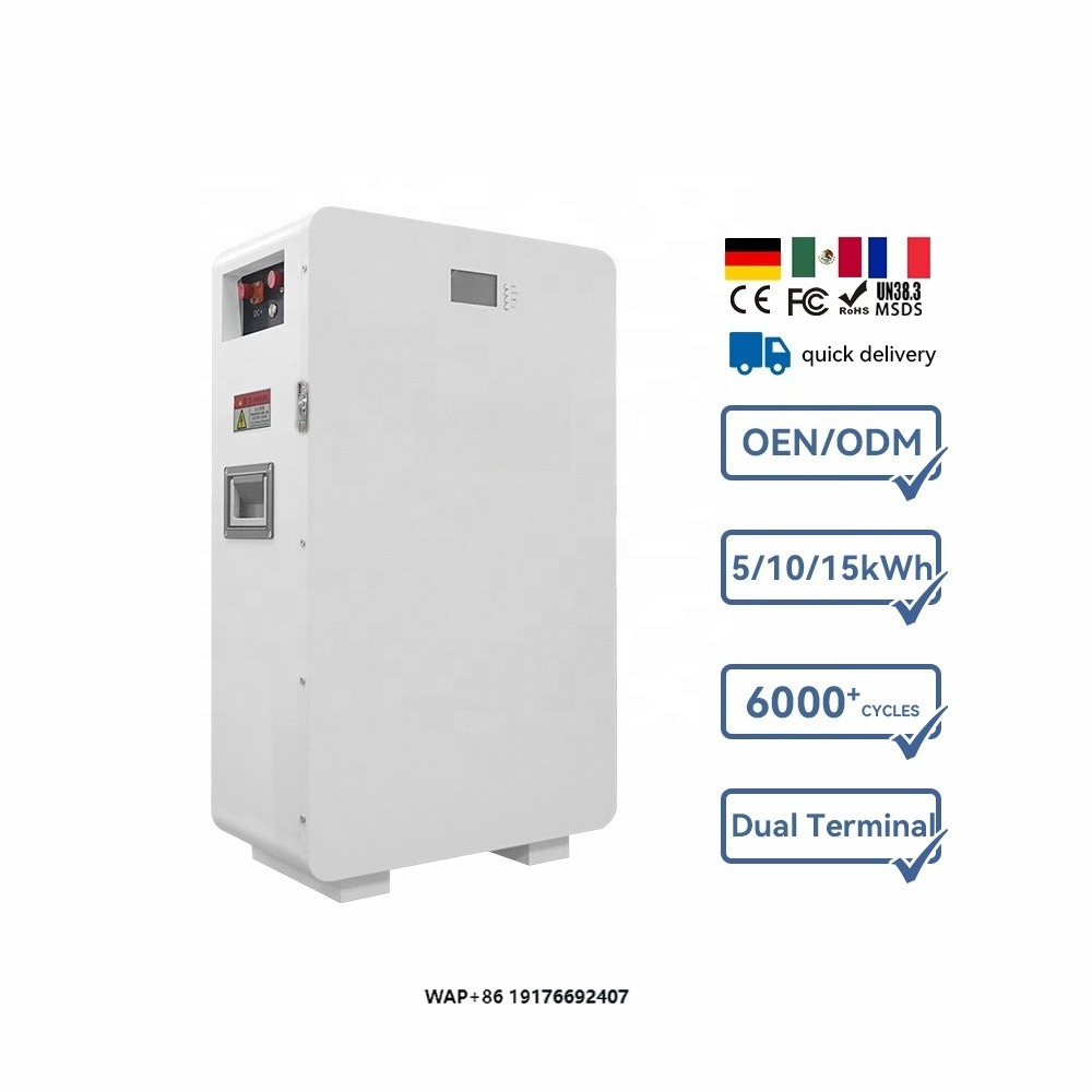 Lithium Battery 100Ah - Batteria al litio personalizzata per la