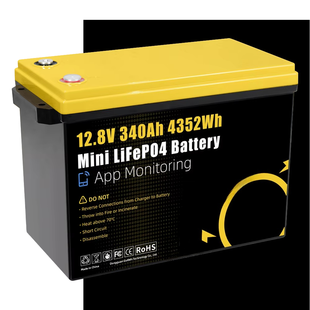GoKWh Marine 12v Lifepo4 Batte - Lithium Battery 100Ah recensione e prezzo