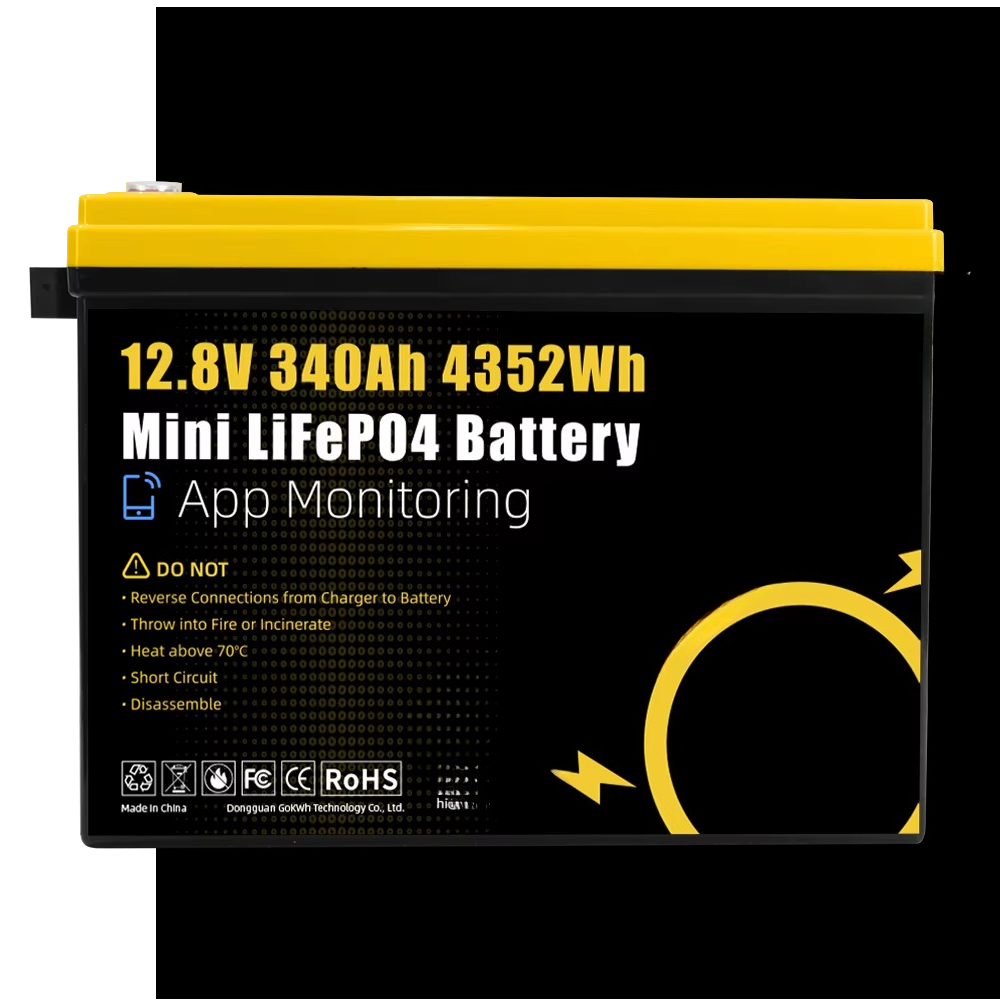 GoKWh Marine 12v Lifepo4 Batte - Lithium Battery 100Ah recensione e prezzo