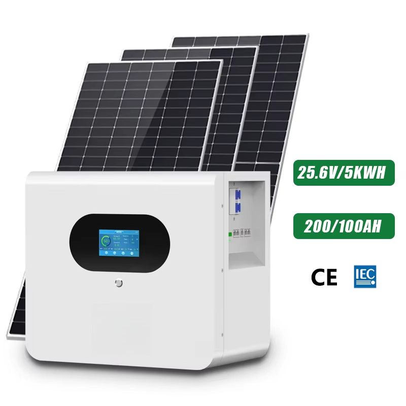 Batteria ibrida agli ioni di l - Lithium Battery 100Ah recensione e prezzo