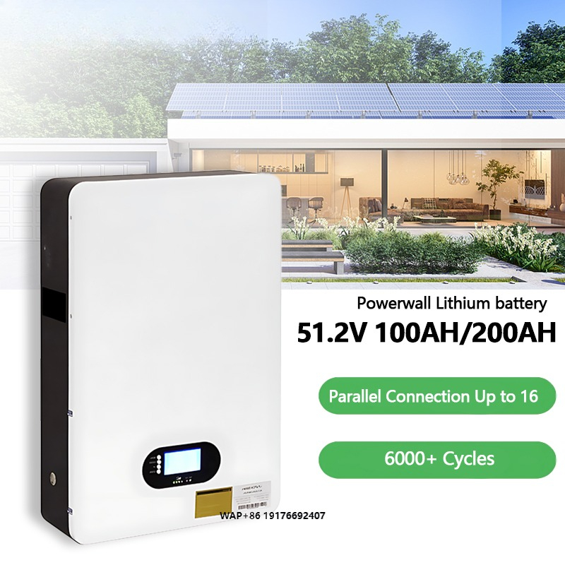 Batteria al Litio 48V 51.2V 10 - Lithium Battery 100Ah recensione e prezzo