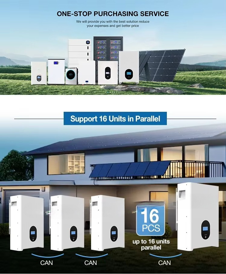 Batteria al litio LiFePO4 dome - Lithium Battery 100Ah recensione e prezzo